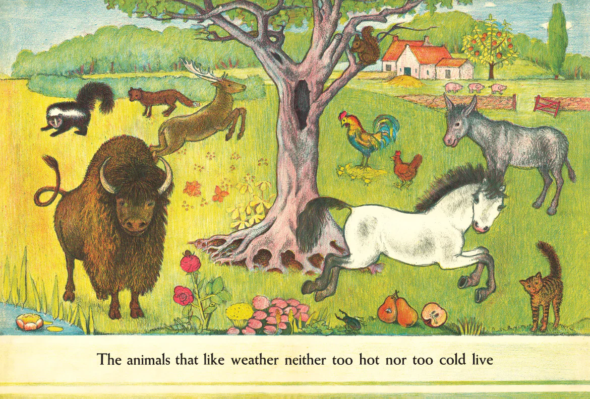 226-d-aulaires-book-of-animals-1.webp